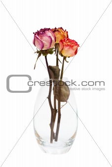 dried roses