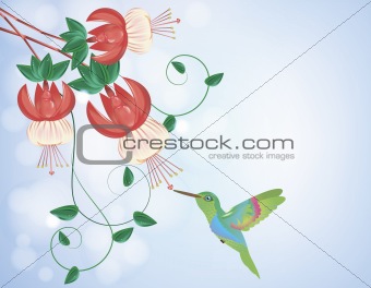 Hummingbird getting nectar from a flower