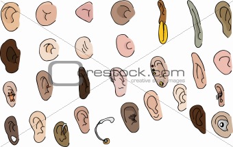 Set of 29 Ears