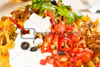 fresh nachos and vegetable salad with meat