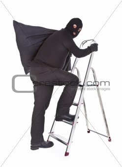 robber with sack on ladder