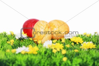 Yellow and red Easter eggs 