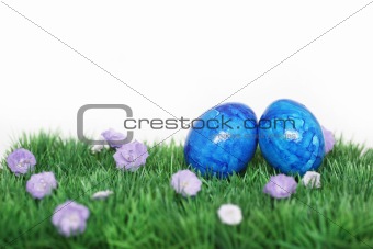 Two blue eggs 