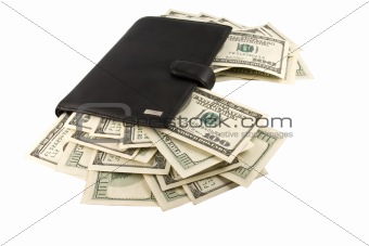 Leather wallet of dollars