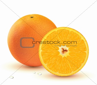 Fresh juicy oranges 