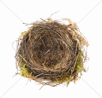 Detail of blackbird nest isolated on white