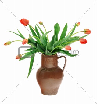 Red tulips in old fashioned jug isolated on white background