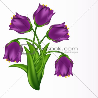 Vector illustration of lilac bells. Gradient meshes.