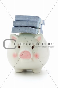 Stacks of money on back of Piggy bank 