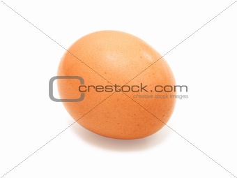 close up of egg on white background 