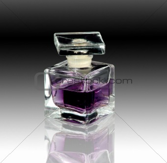 perfume bottle6