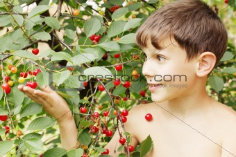 Boy holds cherries