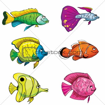 Cartoon set of tropical fish