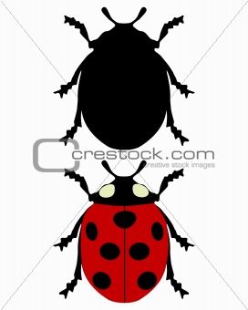 Ladybird silhouette