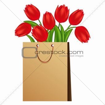 Vector illustration of red tulips. Gradient meshes.