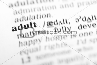 adult (the dictionary project)