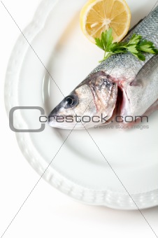 sea bass  on  plate,ready to cook