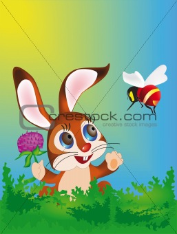 Hare and bee
