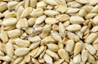  sunflower seeds 