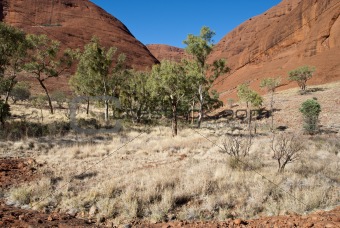 Colors of Australian Outback during Winter Season