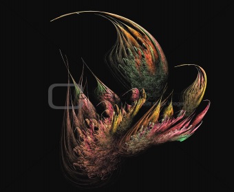 Feathery Fractal Buds