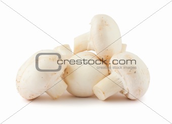 mushrooms 