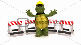 tortoise with a hazard barriers