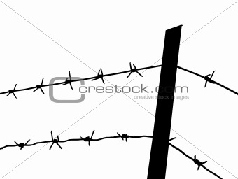 barbed wire on white background. vector