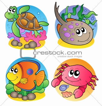 Various marine animals images 1