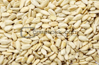sunflower seeds 