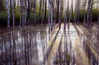 early spring morning light