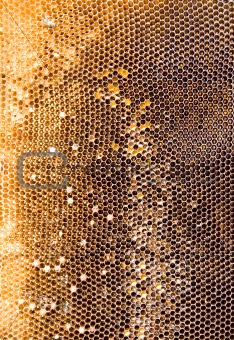 Honeycomb mesh