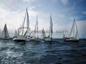 Sailboats in regatta
