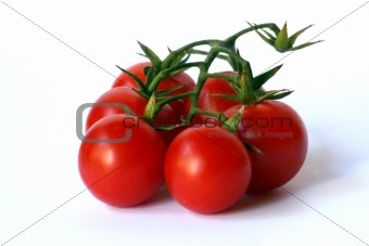 fresh cherry tomato