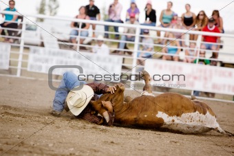 Steer Wrestling