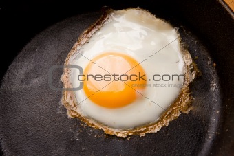 Fried Egg Detail