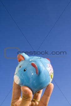 Money Pig in the Sky