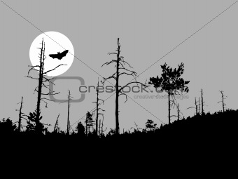 vector silhouette bat on moon background