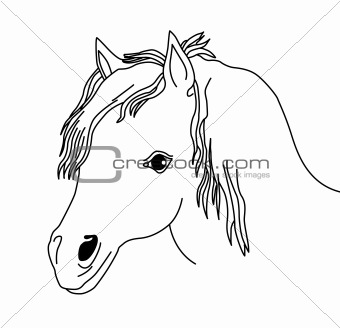 vector silhouette of the head horse on white background