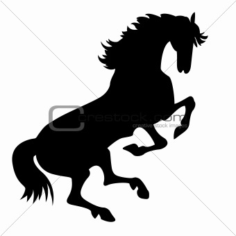 vector silhouette horse on white background 