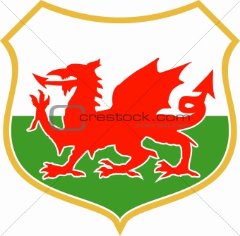 red welsh dragon