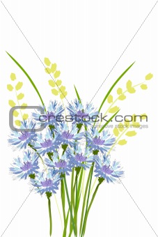 bouquet of cornflower and spica