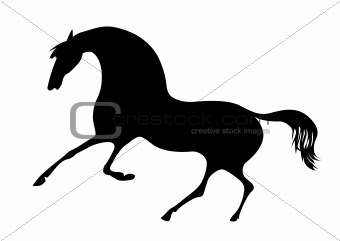vector silhouette horse on white background
