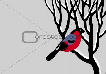 vector drawing bullfinch on tree