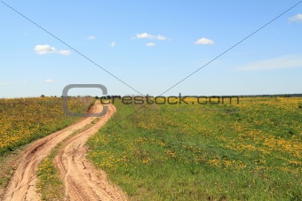 road on field