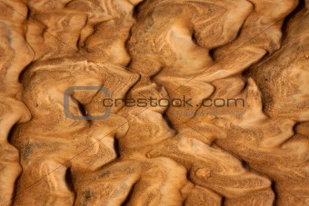 Rippled wet sand background or texture