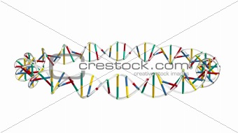 DNA in a circle