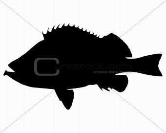 Rose fish Silhouette