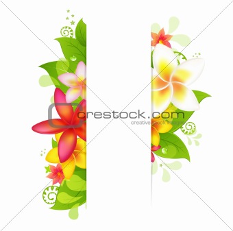 Natural Background With Flower