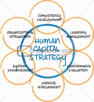 Human capital business diagram